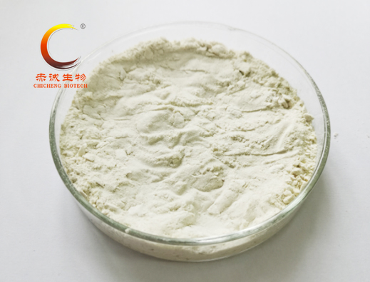 沒(méi)食子酸辛酯